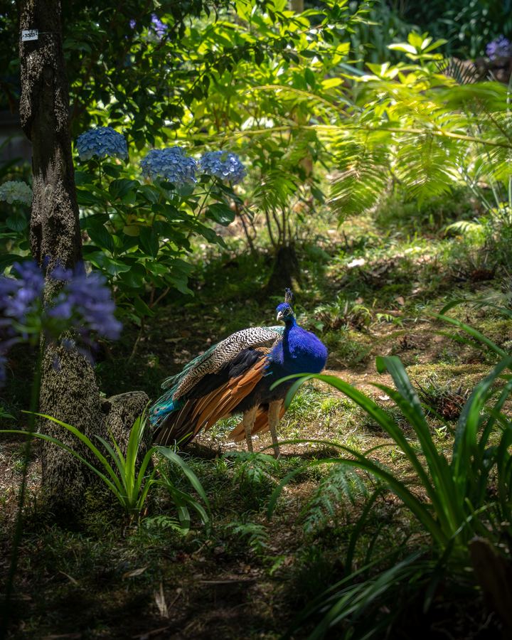 Travel: Travel photography by Hamza Shaf, image 13